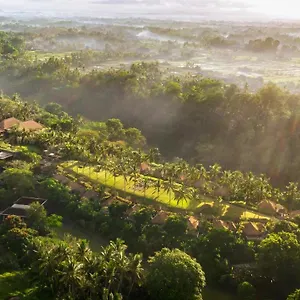 https://maya-ubud-resort-spa.ubudhotelsnow.com