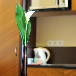 **** Hotell Baron Ungern